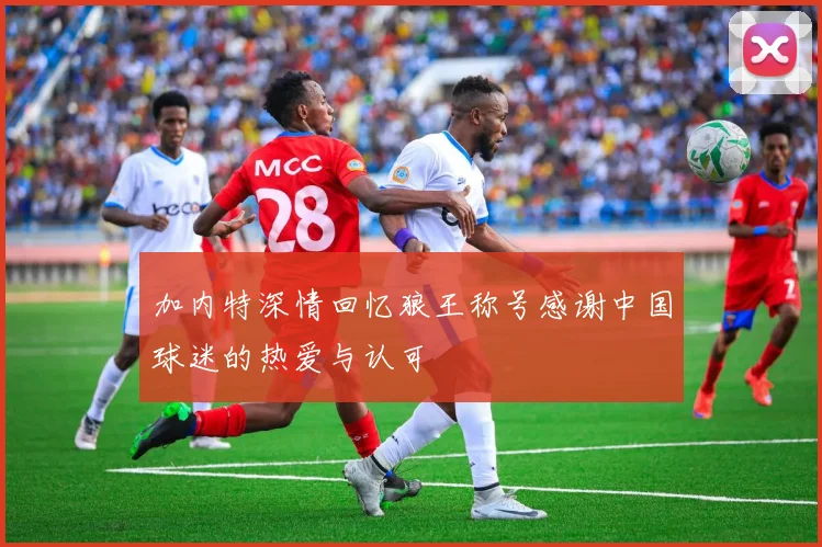 加内特深情回忆狼王称号感谢中国球迷的热爱与认可