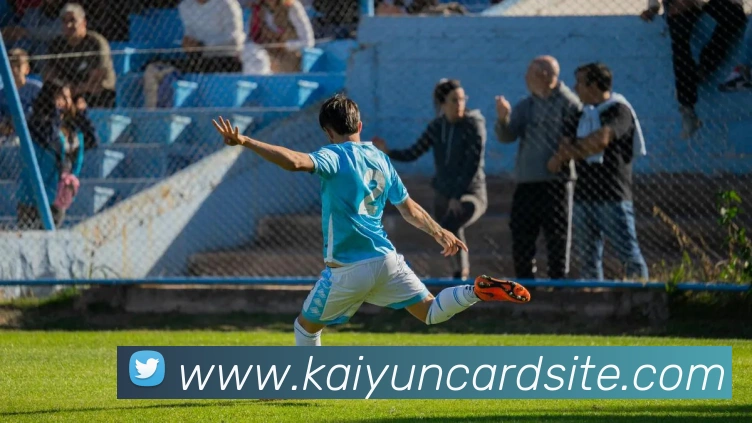 开云棋牌平台生态图